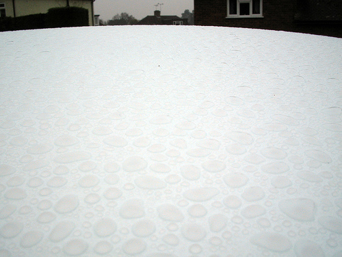 Mondeo Beading