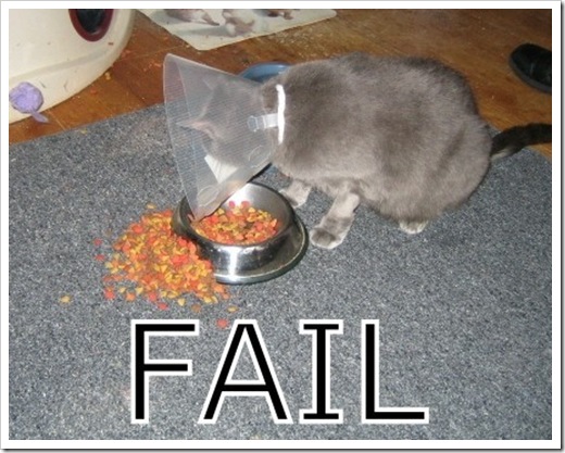 fail-1