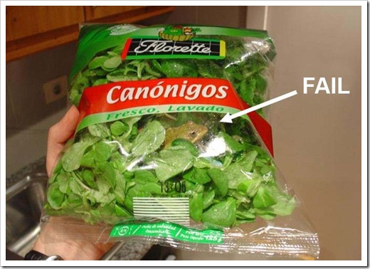 saladfail